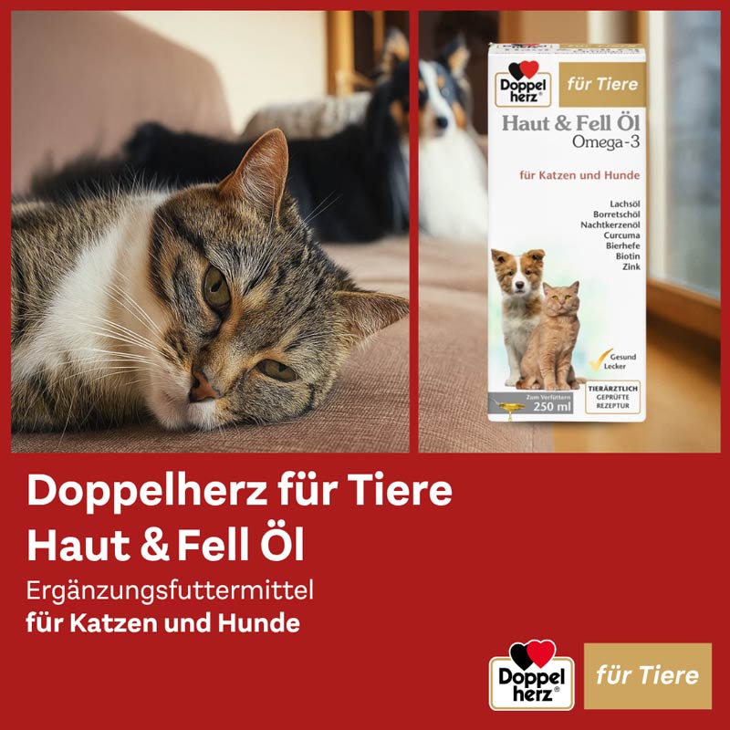 Doppelherz Haut & Fell Öl Omega-3 für Katzen und Hunde 250 ml Flüssigkeit