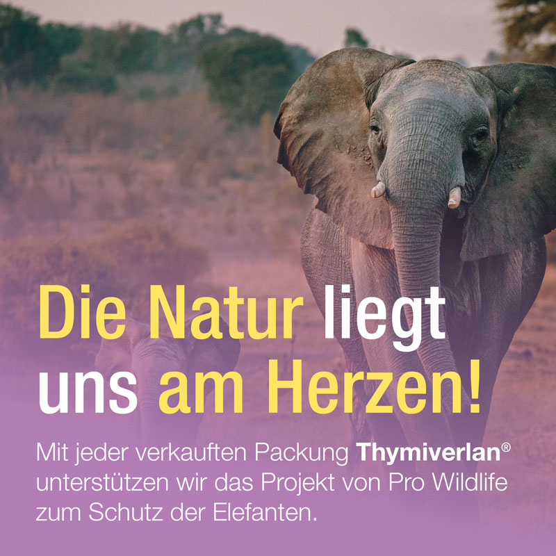Thymiverlan Flüssigkeit Zum Einnehmen 100 ml Flüssigkeit zum Einnehmen
