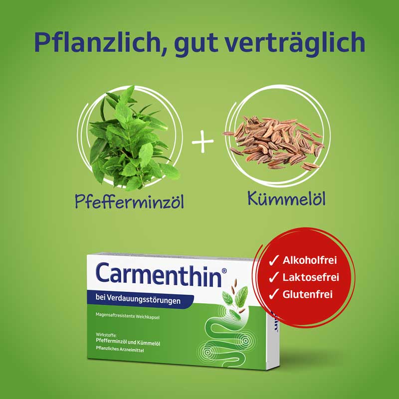 Carmenthin bei Verdauungsstörungen 14 St Magensaftresistente Weichkapseln