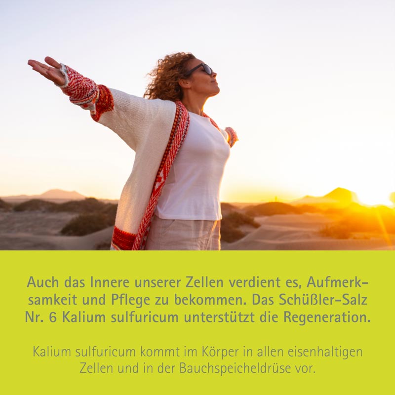 Schüßler-Salz Nr. 6 Kalium sulfuricum D6 400 St Tabletten