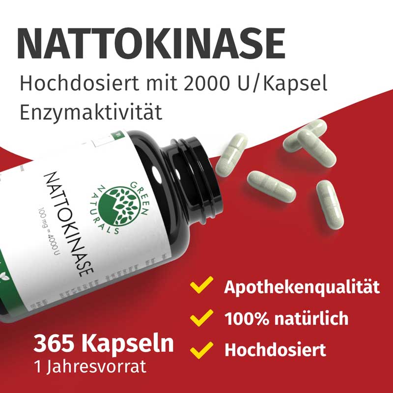 GREEN NATURALS Nattokinase 100mg  365 St Kapseln