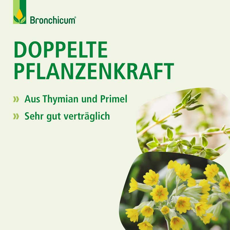 Bronchicum Tropfen 30 ml Tropfen