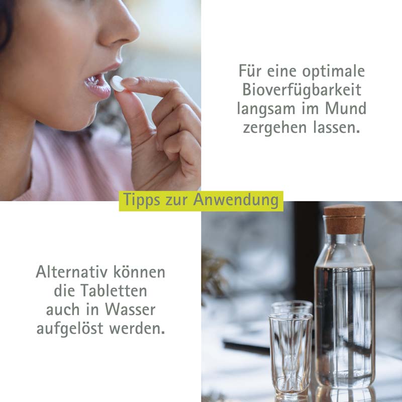 Schüßler-Salz Nr. 6 Kalium sulfuricum D6 4000 St Tabletten