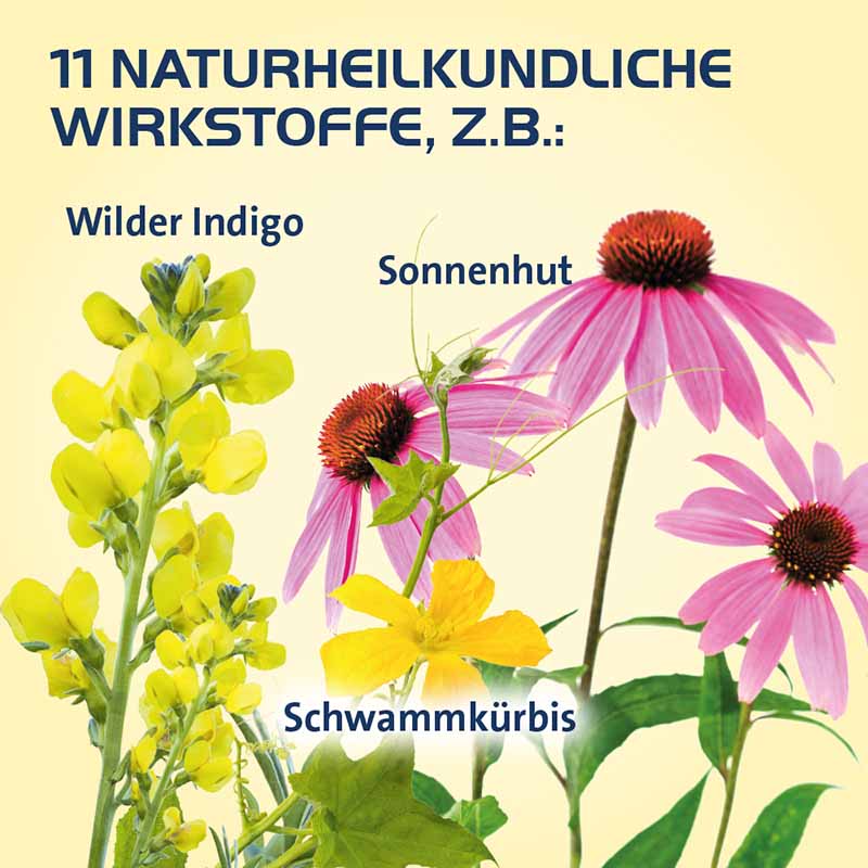 SINUSITIS HEVERT- Bei Schnupfen und Entzündungen der Nasennebenhöhlen 40 St Tabletten