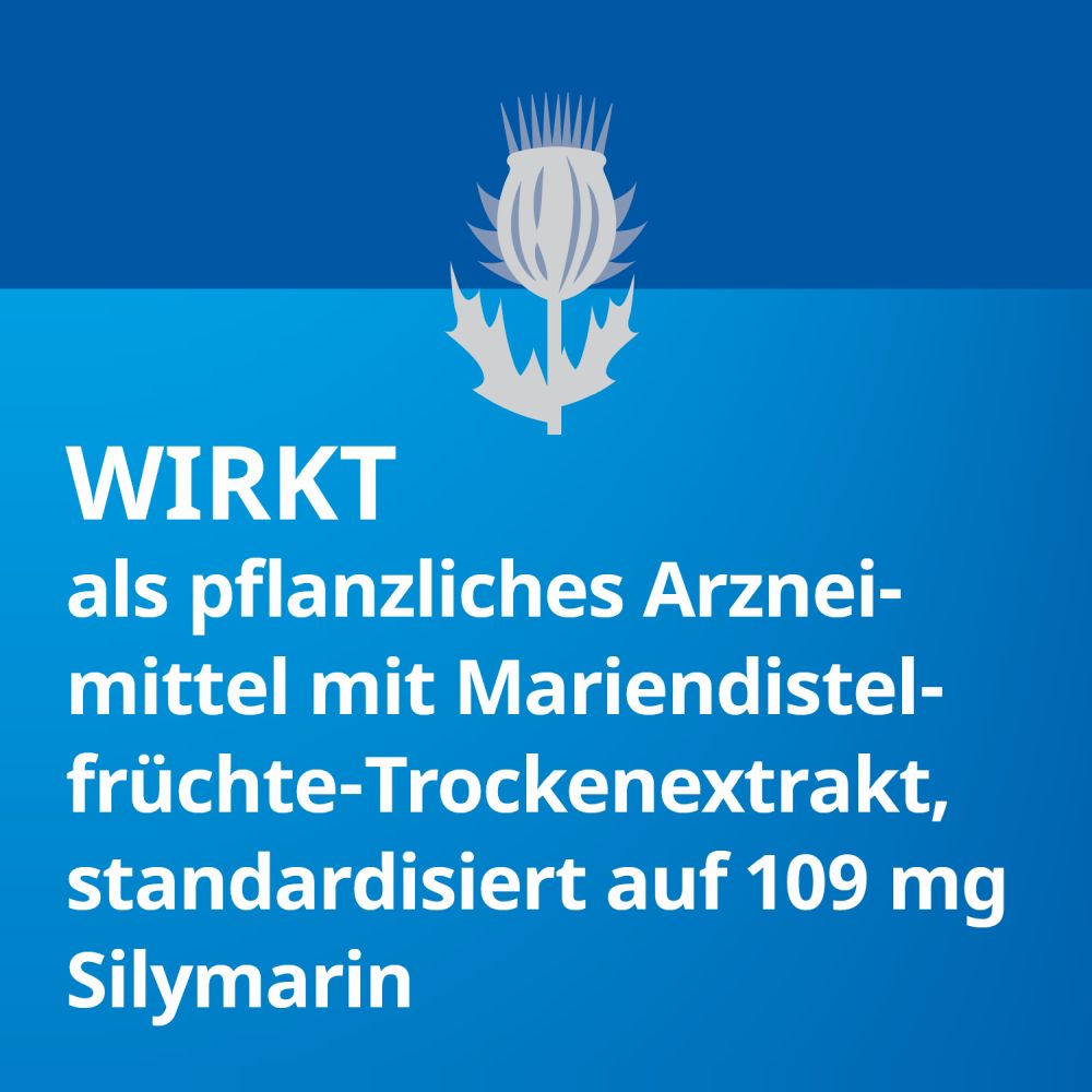 Silymarin STADA 100 St Hartkapseln
