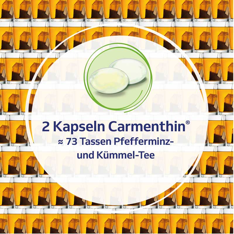 Carmenthin bei Verdauungsstörungen 14 St Magensaftresistente Weichkapseln