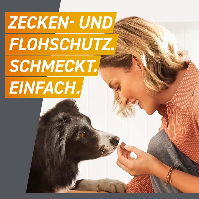FRONTPRO - gegen Zecken und Flöhe für Hunde (>10-25kg) 3 St Kautabletten