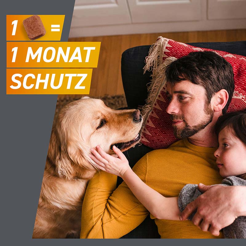 FRONTPRO - gegen Zecken und Flöhe für Hunde (>10-25kg) 3 St Kautabletten