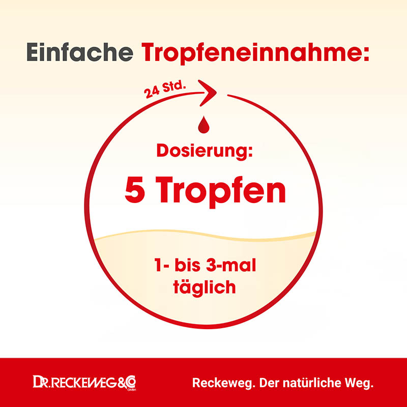INTERCOSTAL-GASTREU R 69 22 ml Tropfen zum Einnehmen
