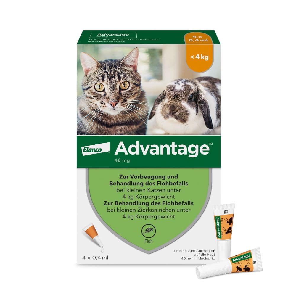 ADVANTAGE 40MG KATZE+ZIERKANINCHEN 4X0.4 ml Lösung