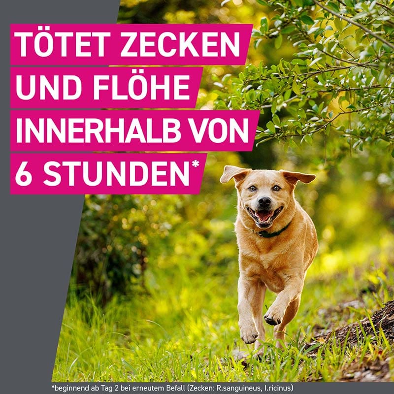 FRONTLINE TRI-ACT gegen Zecken, Flöhe und fliegende Insekten für Hunde XL (40-60 kg)  3 St Lösung