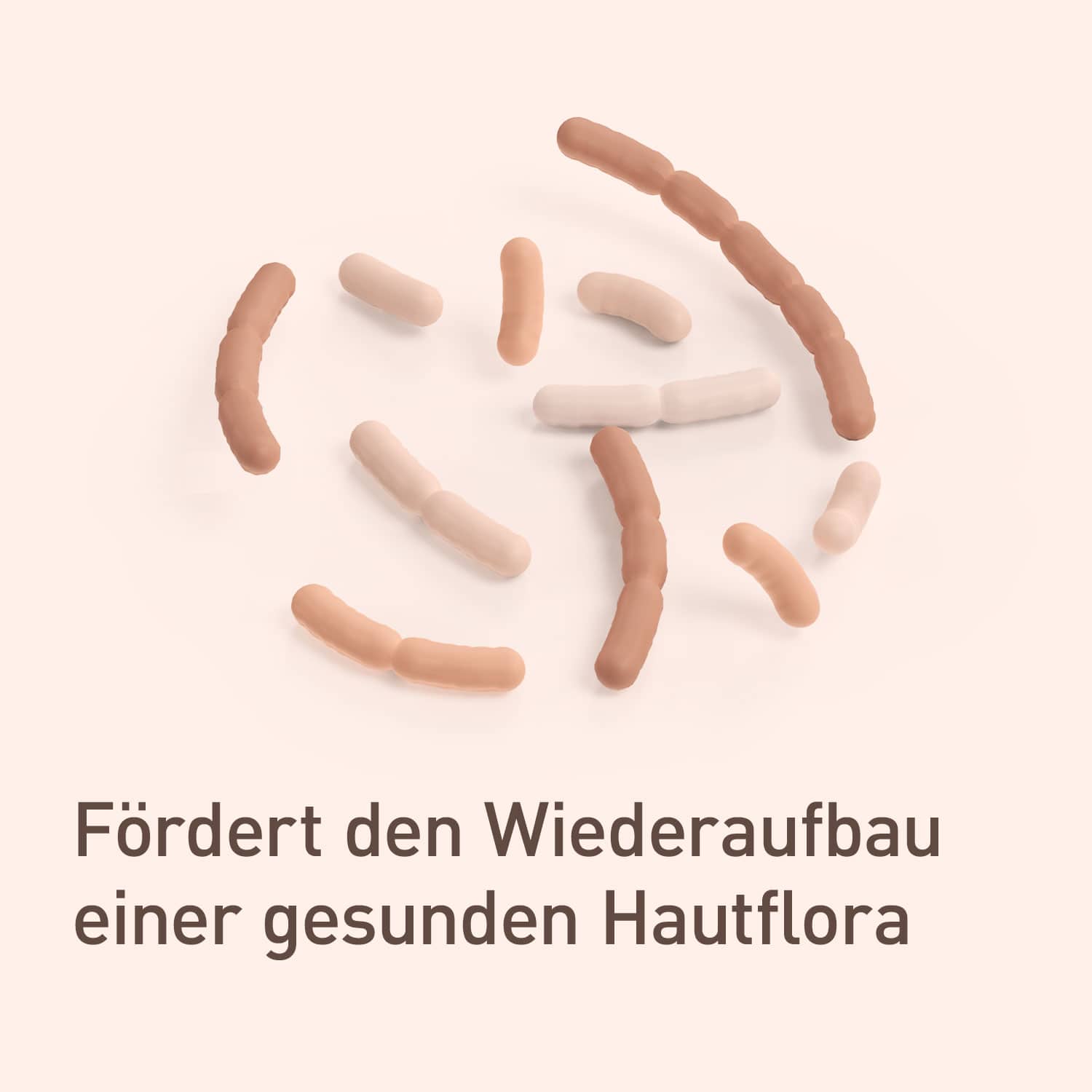 nupure probaderm  50 ml Creme