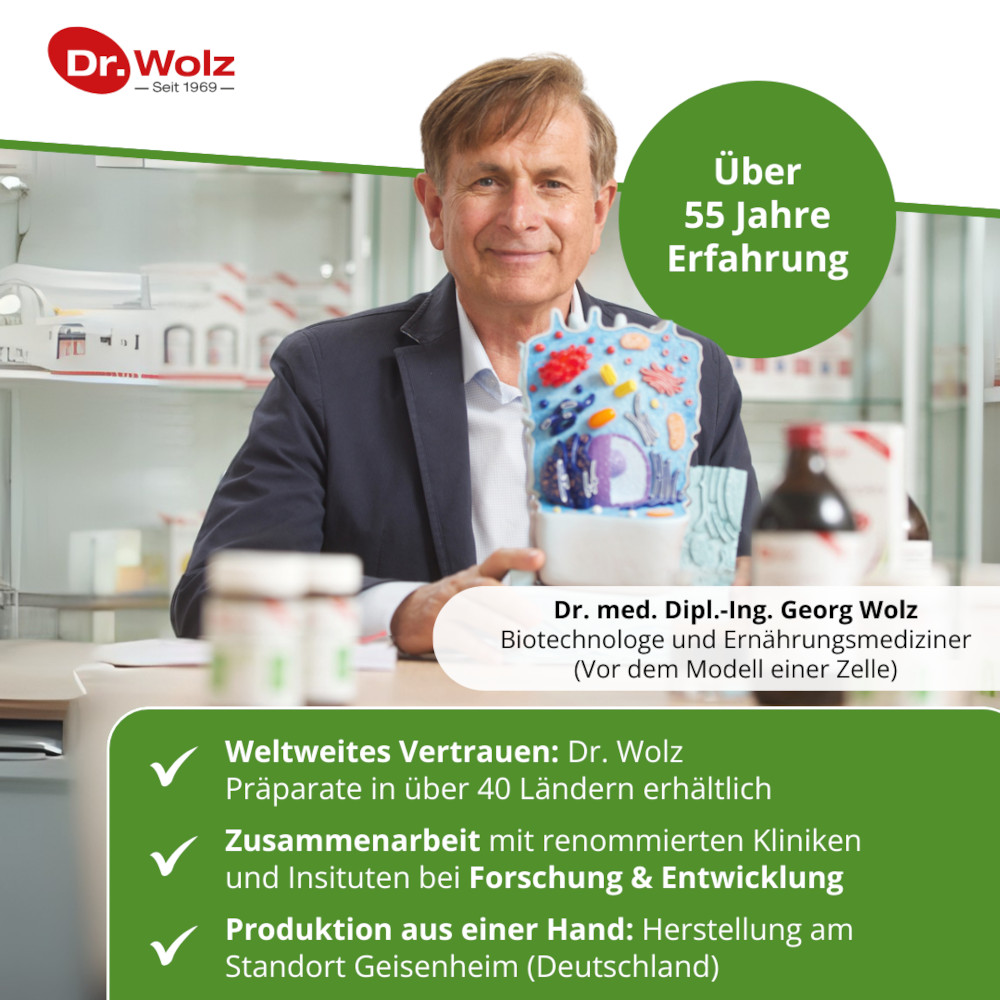 Dr. Wolz Curcumin Extrakt 45 90 St Kapseln