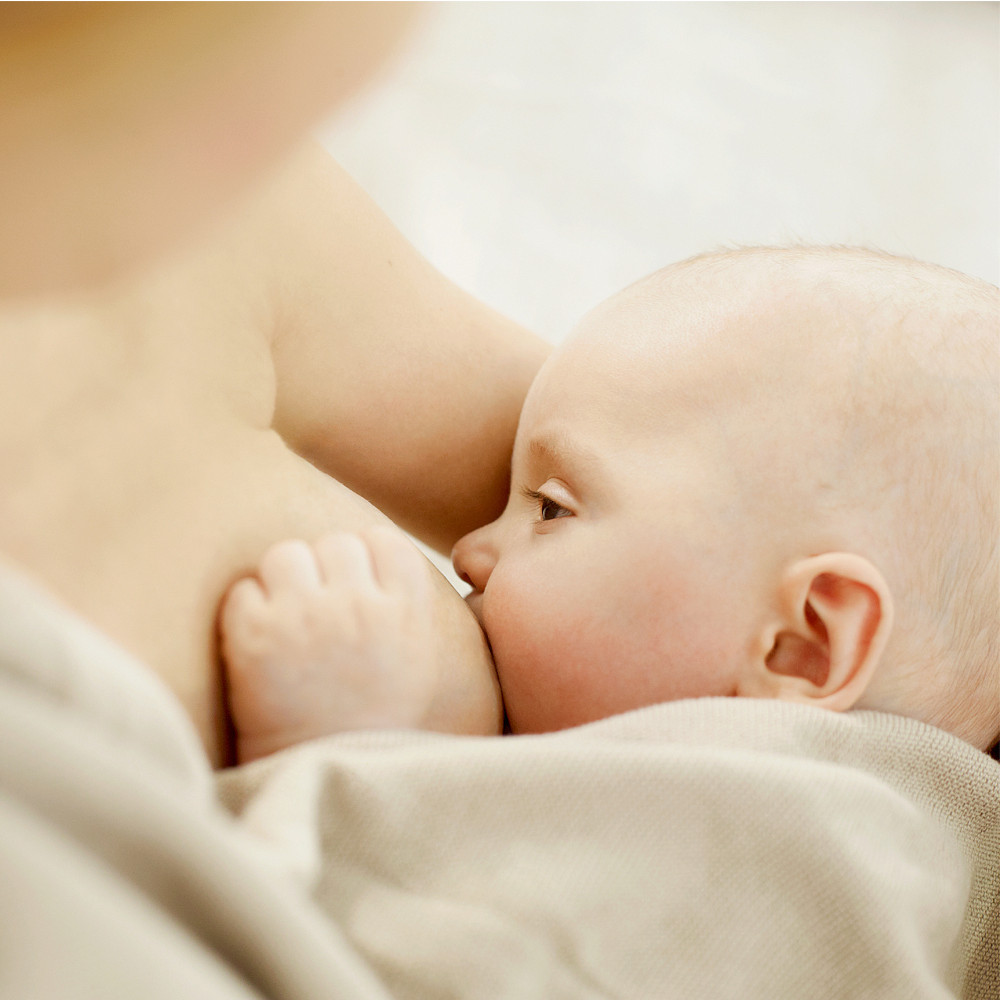 Weleda Brust-Massageöl  50 ml Öl