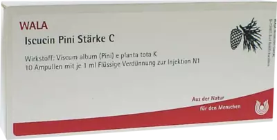 Iscucin Pini Stärke C Ampullen 10X1 ml Ampullen