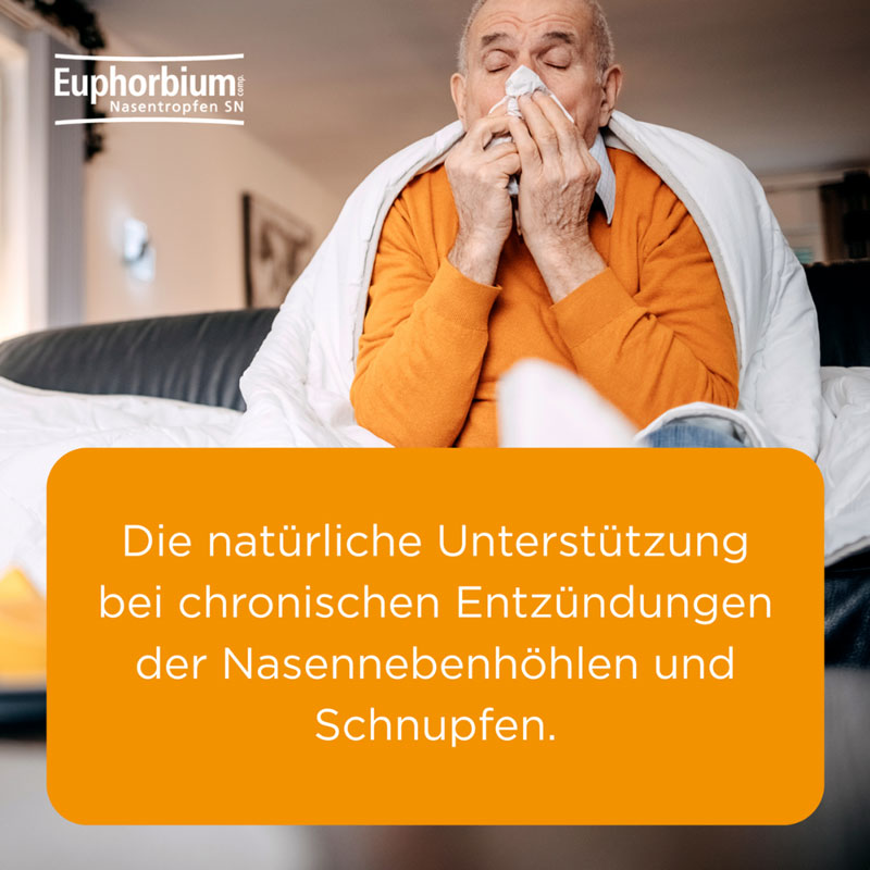 Euphorbium Compositum Nasentropfen SN  20 ml Nasendosierspray