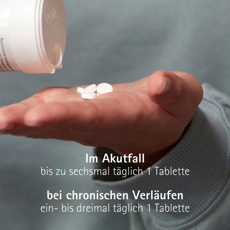 Schüßler-Salz Nr. 12 Calcium sulfuricum D6 100 St Tabletten