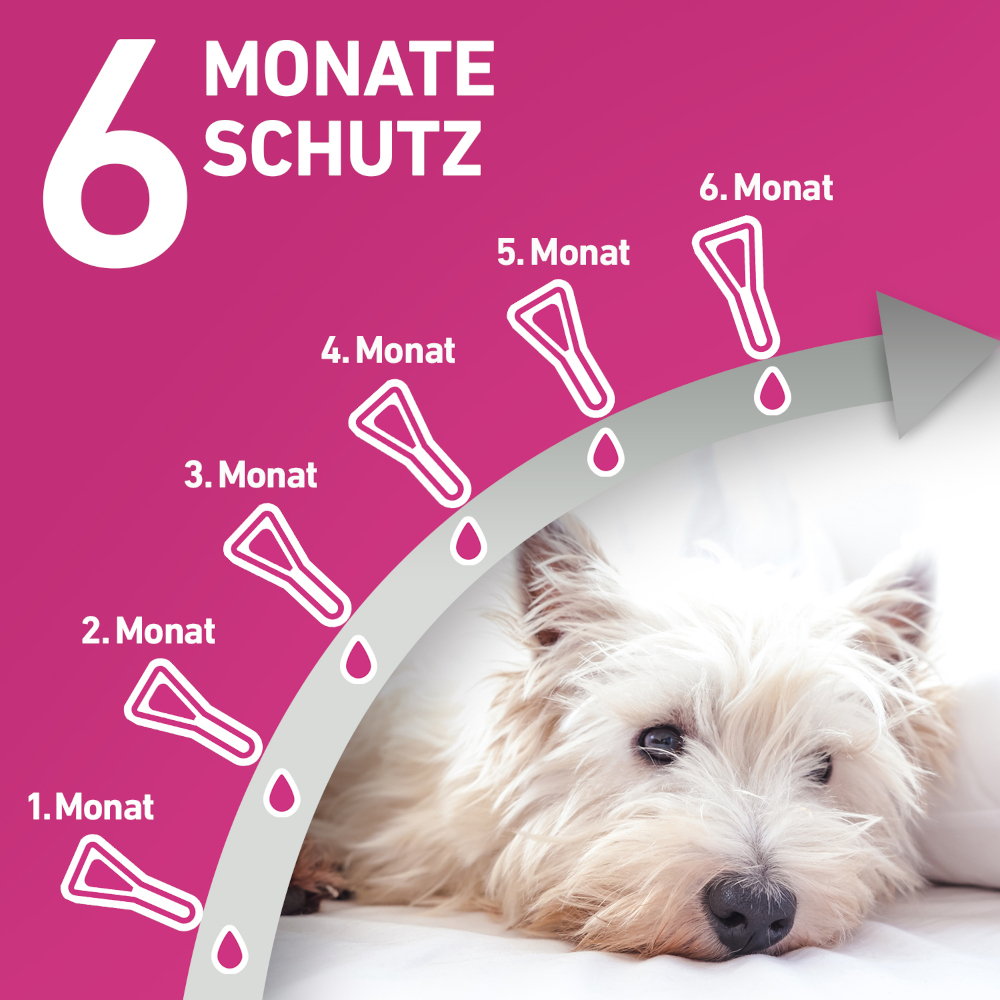 FRONTLINE TRI-ACT gegen Zecken, Flöhe und fliegende Insekten für Hunde L (20-40 kg) 6 St Lösung