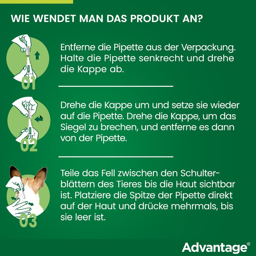 ADVANTAGE 250 HUND 4 St Lösung