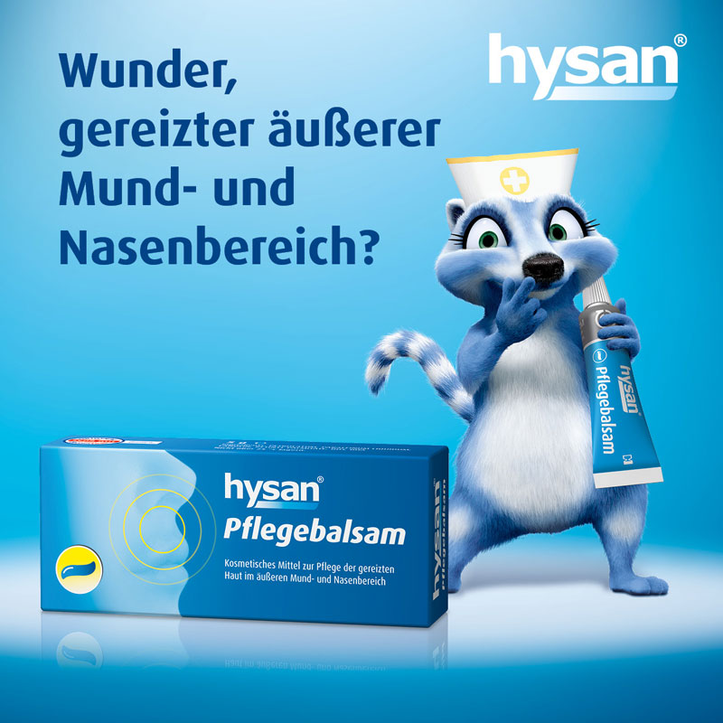 hysan Pflegebalsam 5 g Balsam