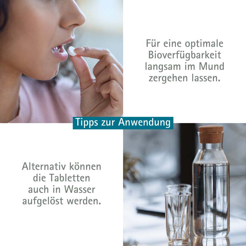 Schüßler-Salz Nr. 12 Calcium sulfuricum D6 4000 St Tabletten