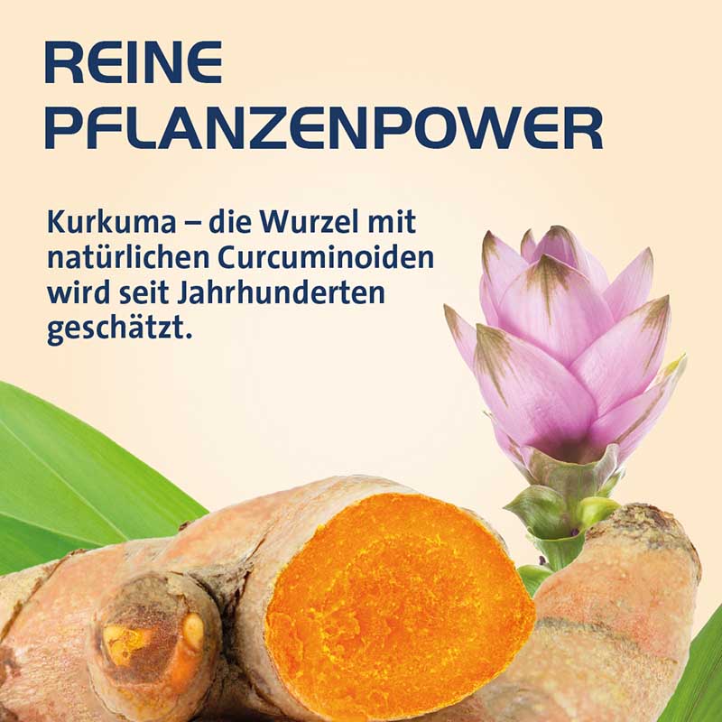 CURCUMIN HEVERT OPTISOLV 120 St Kapseln