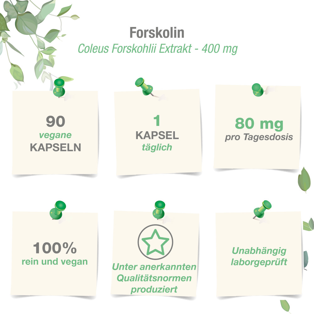 vitabay FORSKOLIN 400mg 90 St Kapseln