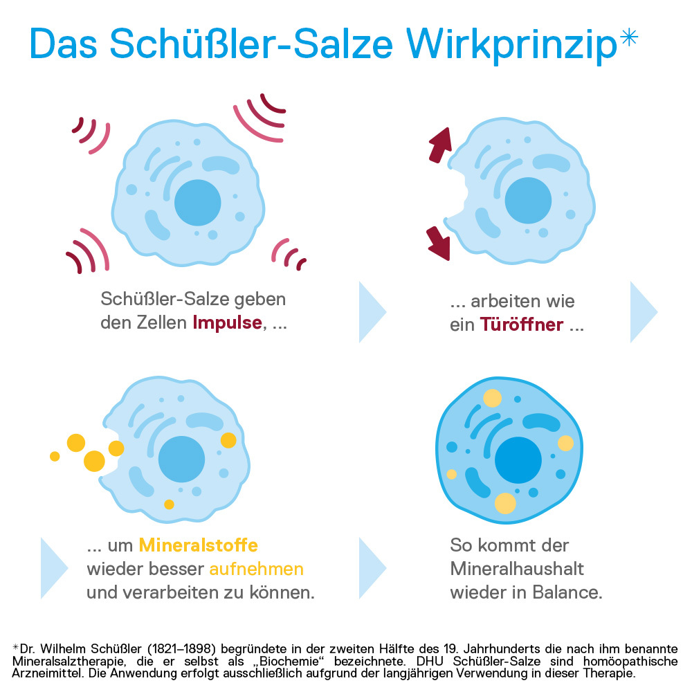 DHU Schüßler-Salz Nr. 11 Silicea D12 900 St Tabletten
