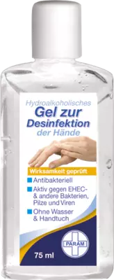 DESINFEKTIONSGEL für die Hand antibakteriell 75 ml Gel