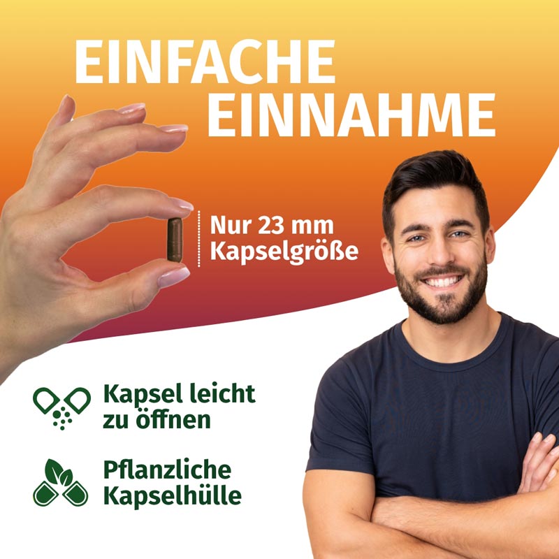 GREEN NATURALS JOHANNISKRAUT 180 St Kapseln