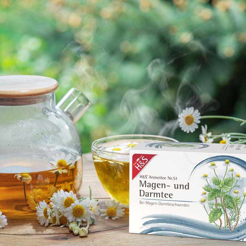 H&S Arzneitee Magen- und Darmtee 20X2.0 g Filterbeutel