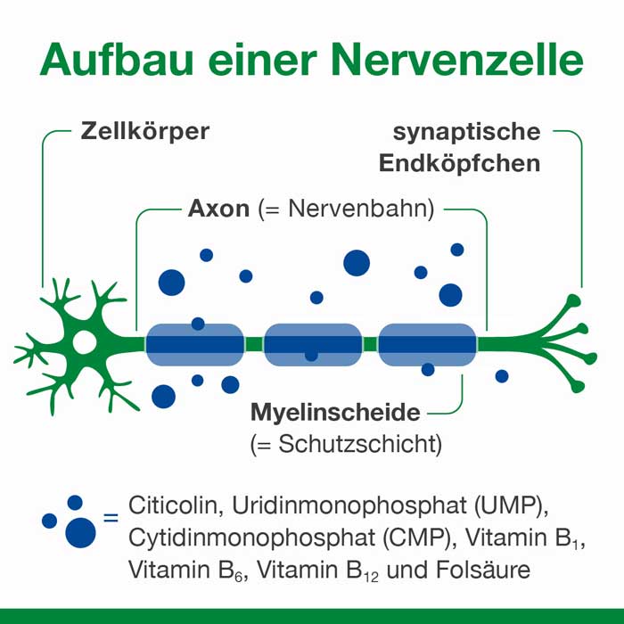 neuroLoges concept 30 St Kapseln