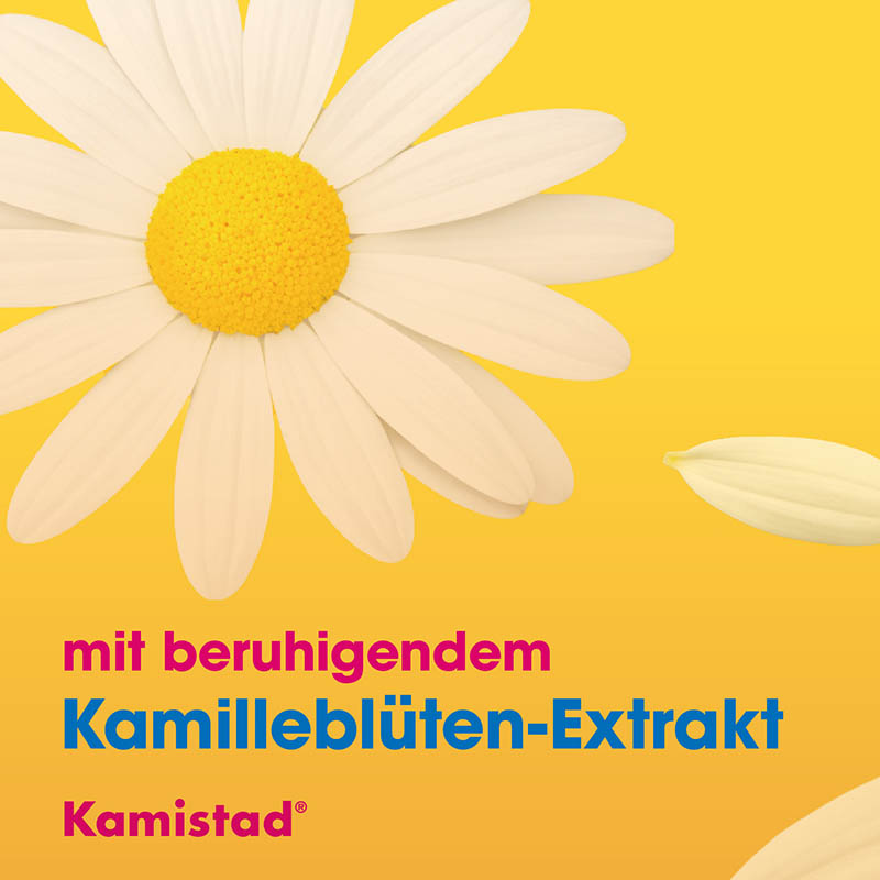 Kamistad Mundspülung 150 ml Lösung