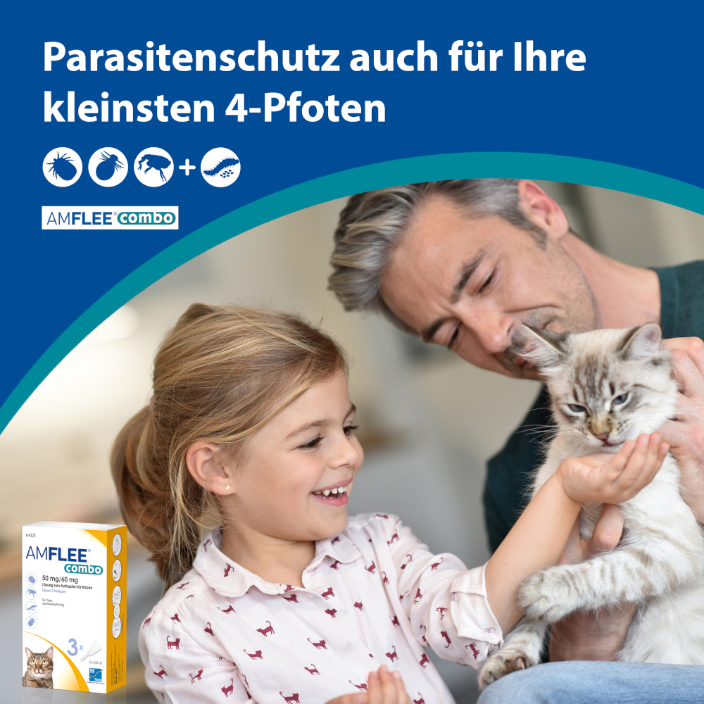 AMFLEE combo Katze 3 St Lösung