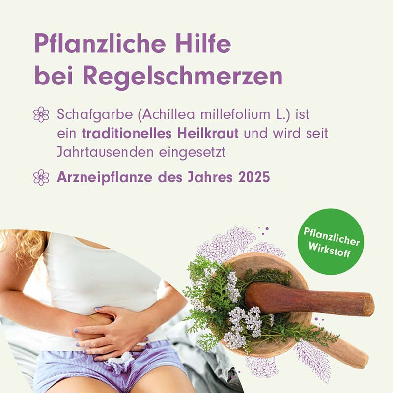 MenoLind BEH 250 mg 60 St Filmtabletten