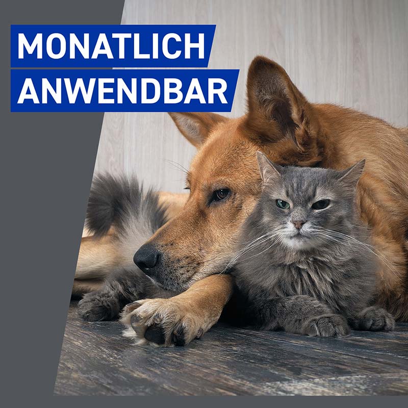 FRONTLINE Spray gegen Zecken und Flöhe für Hunde und Katzen 100 ml Spray