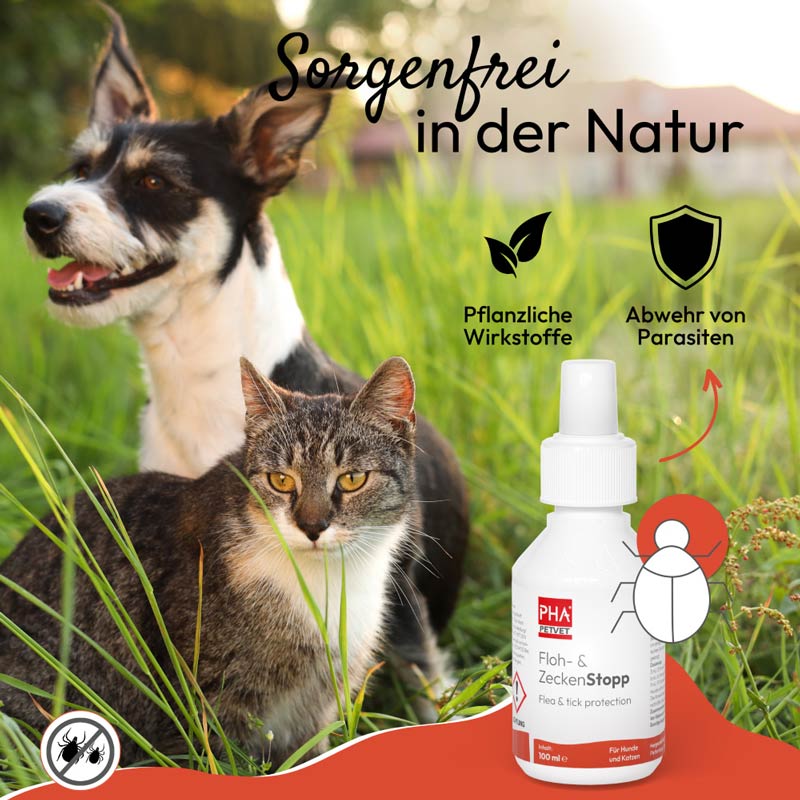 PHA Floh & Zecken Stopp 100 ml Spray