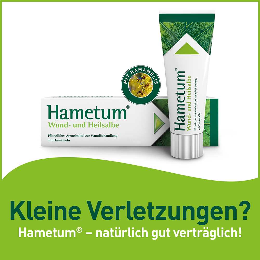 Hametum Wund- und Heilsalbe 200 g Salbe