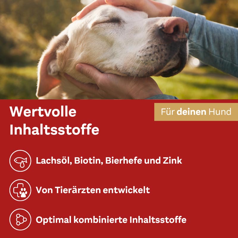 Doppelherz Haut & Fell Complex für Hunde 60 St Kautabletten