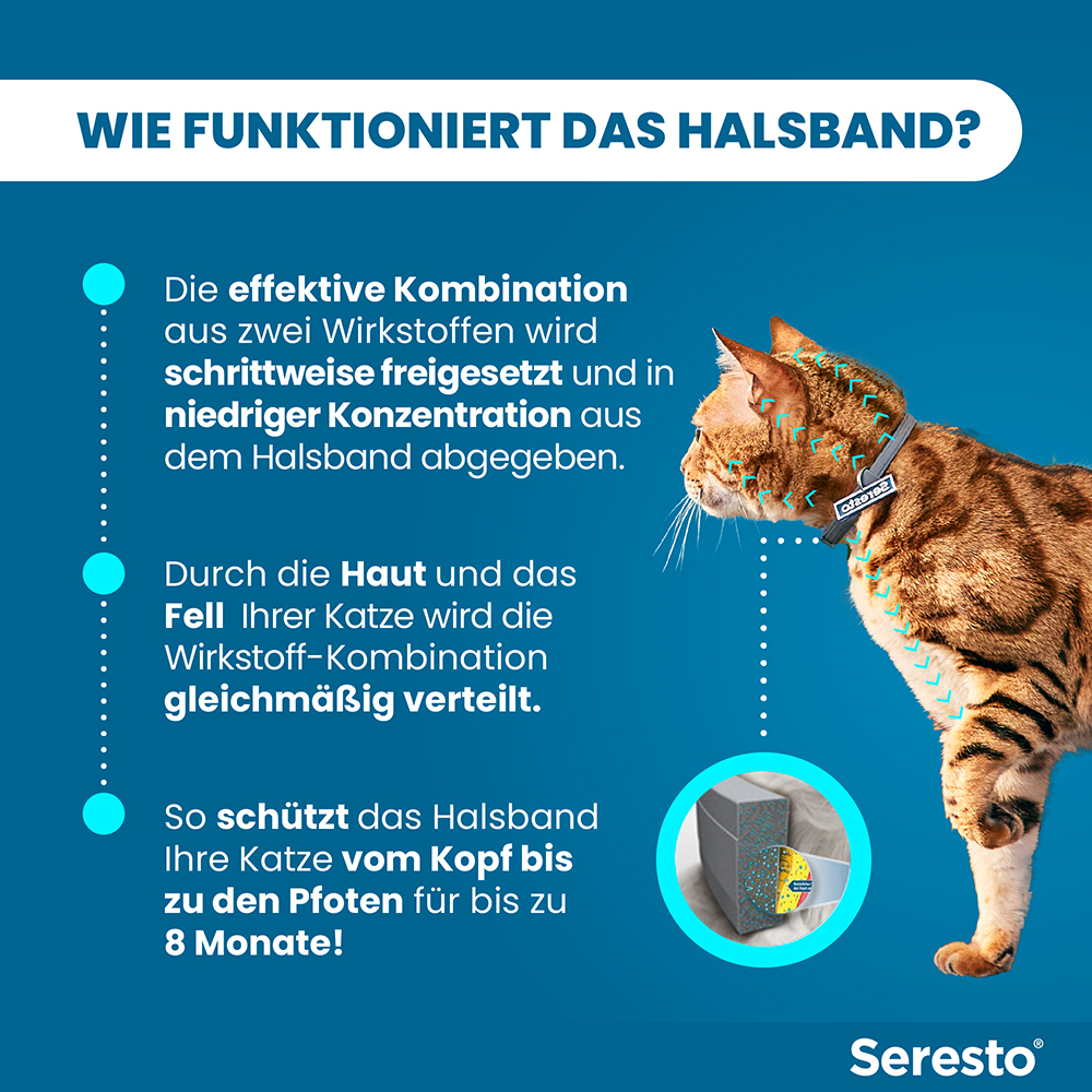 SERESTO HALSBAND F KATZEN 1 St Halsband