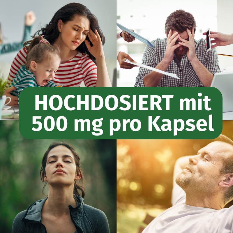 GREEN NATURALS RHODIOLA ROSEA 500 mg 120 St Kapseln