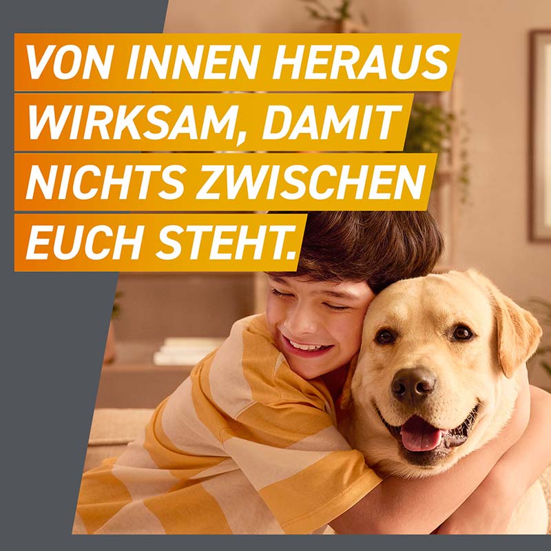 FRONTPRO HUNDE Kautablette 3 St. gegen Zecken und Flöhe für Hunde (2-4kg)