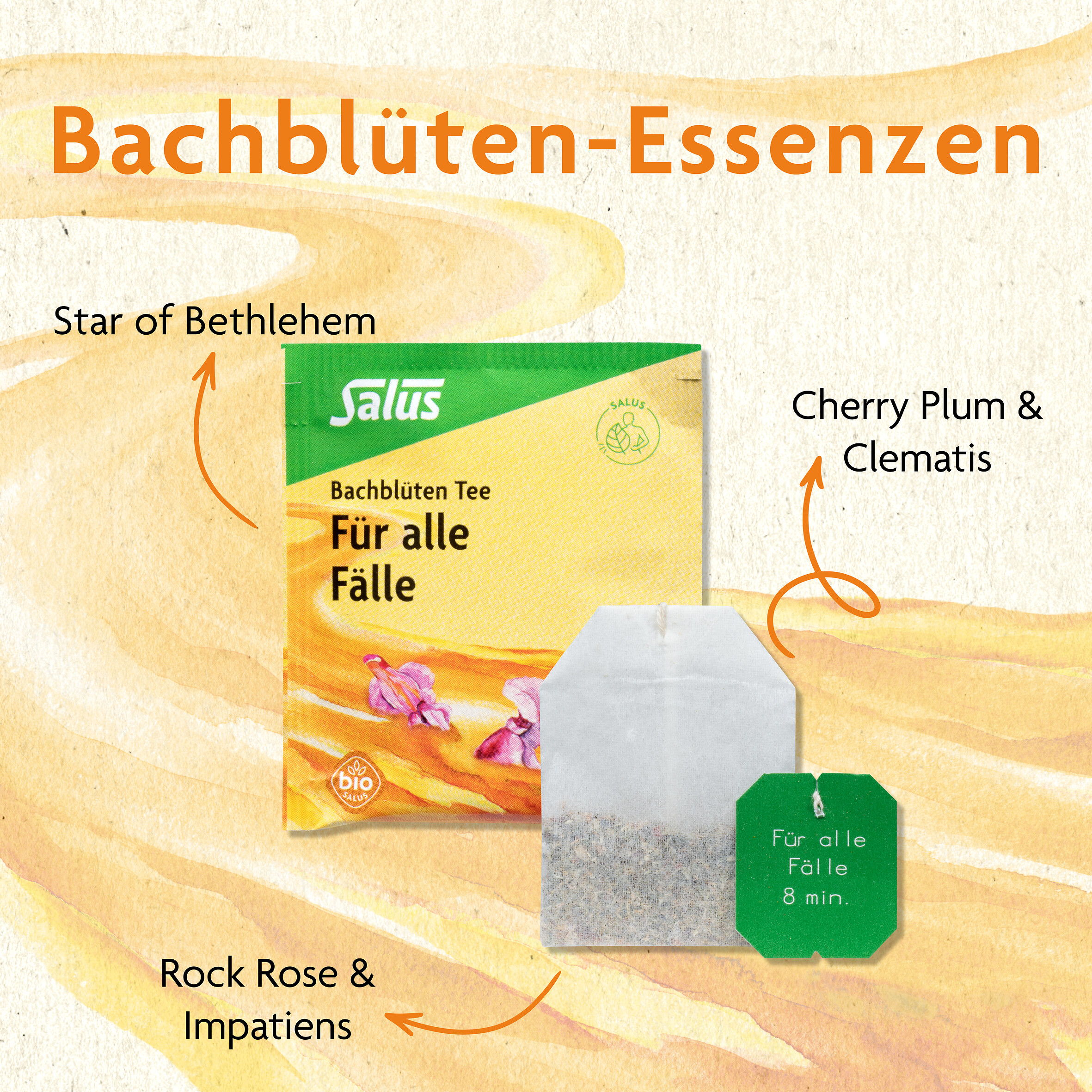 Salus Bachblüten Tee Für alle Fälle Bio 15 St Filterbeutel