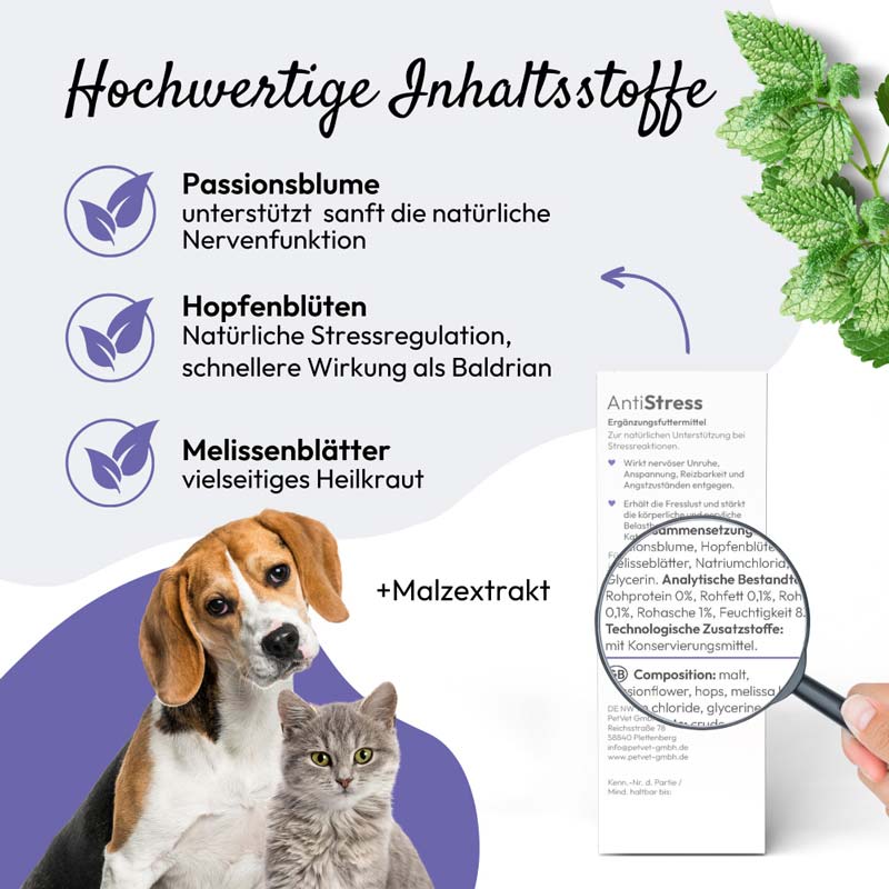 PHA AntiStress Tropfen für Hunde & Katzen 30 ml Tropfen