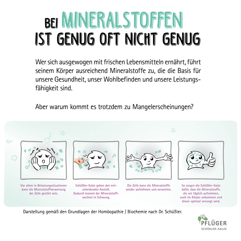 Biochemie / Schüßler-Salze Pflüger Haus- und Reiseapotheke Nr. 1-12 - 12 x 100 Tabl. Nr. 1 + Nr. 11 Creme à 75 g 1 St Kombipackung