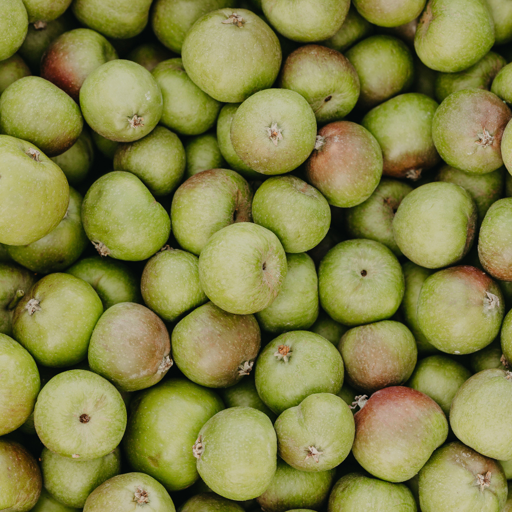 RAUSCH Anti-Pollution-Shampoo mit Schweizer Apfel 200 ml Shampoo