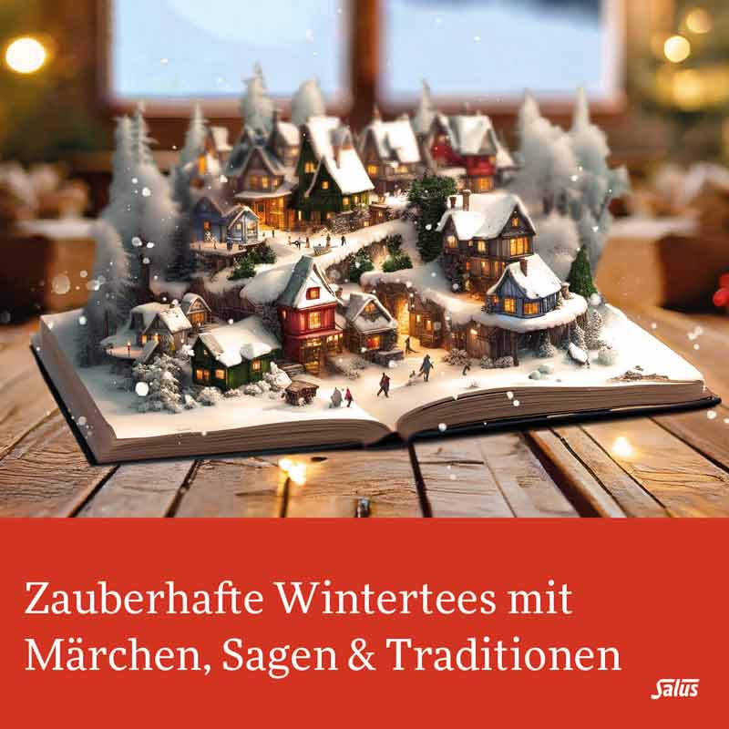 Salus Wintertee Lebkuchentraum 15 St Filterbeutel