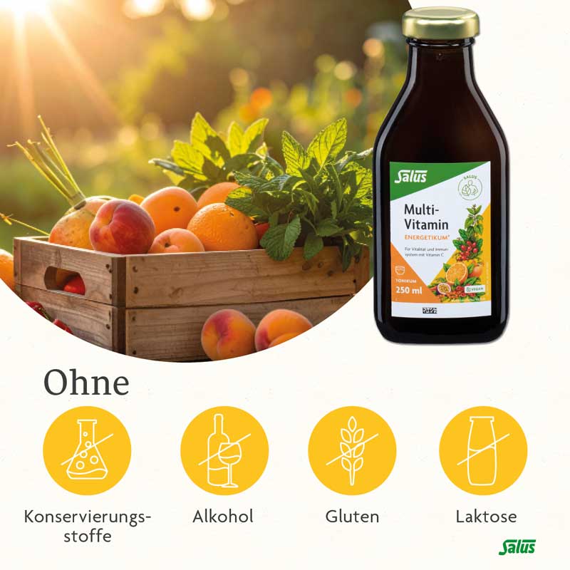 Salus Multi-Vitamin ENERGETIKUM 250 ml Tonikum