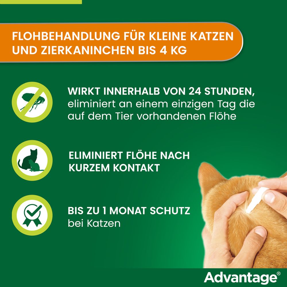 ADVANTAGE 40MG KATZE+ZIERKANINCHEN 4X0.4 ml Lösung