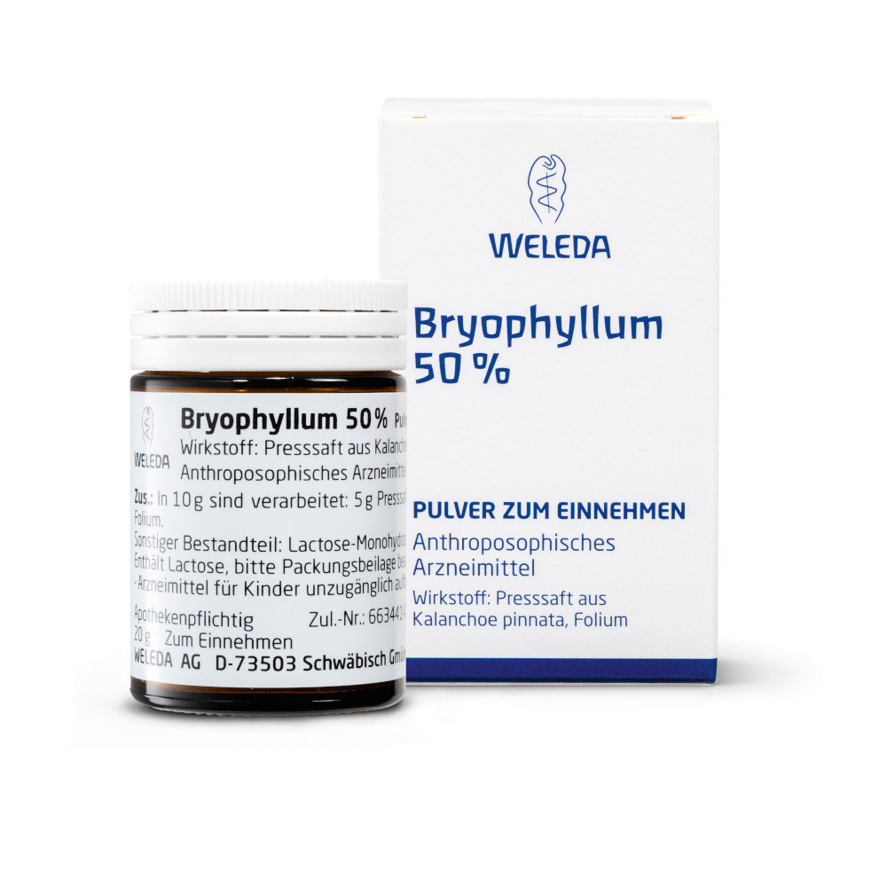WELEDA BRYOPHYLLUM 50% Pulver zum Einnehmen 50 g Pulver